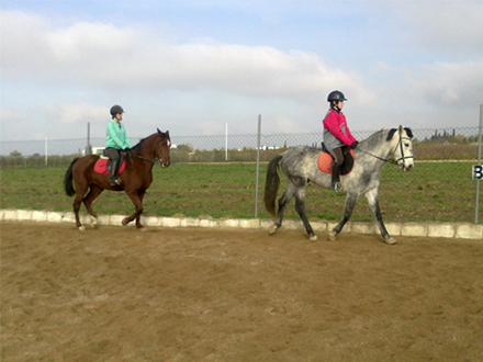 Instalaciones de pupilaje - Centro Ecuestre La Zubia
